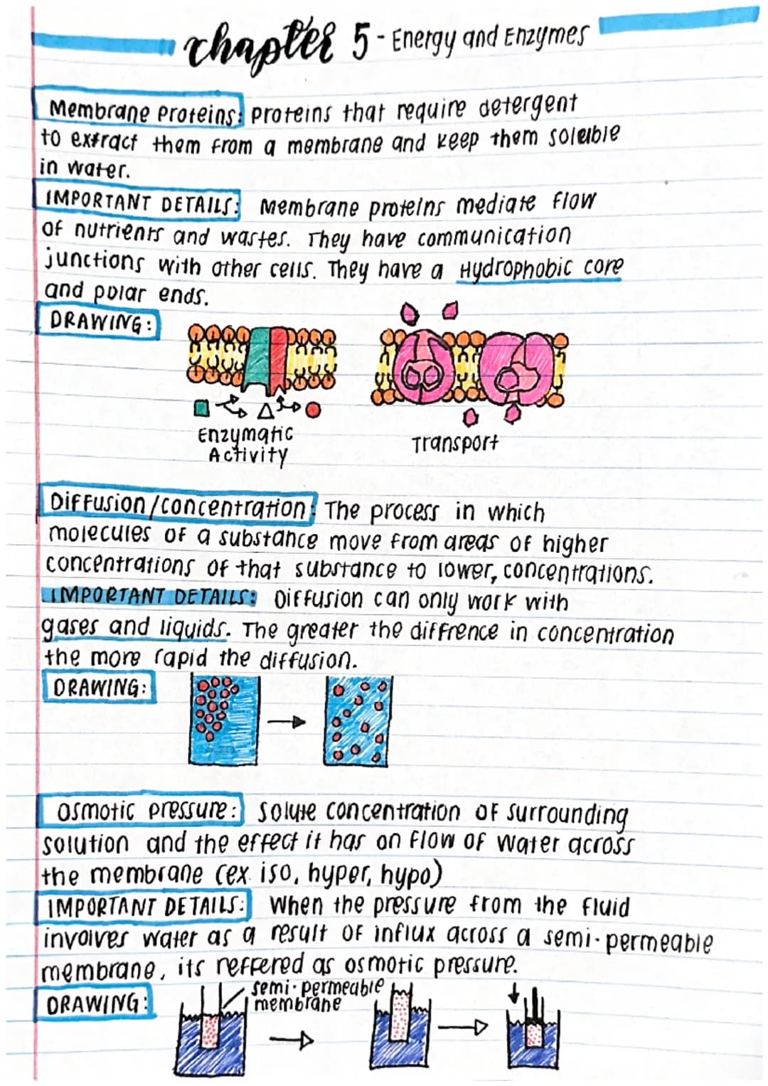 chapter 5 - Energy and Enzymes
Membrane Proteins: Proteins that require detergent
to extract them from a membrane and keep them soluble
in w