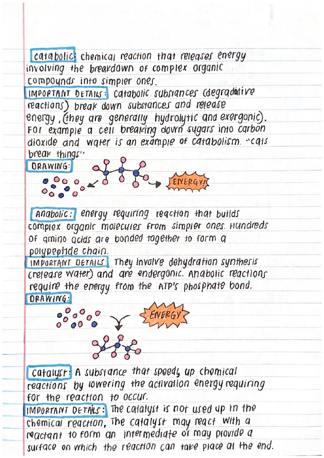 chapter 5 - Energy and Enzymes
Membrane Proteins: Proteins that require detergent
to extract them from a membrane and keep them soluble
in w