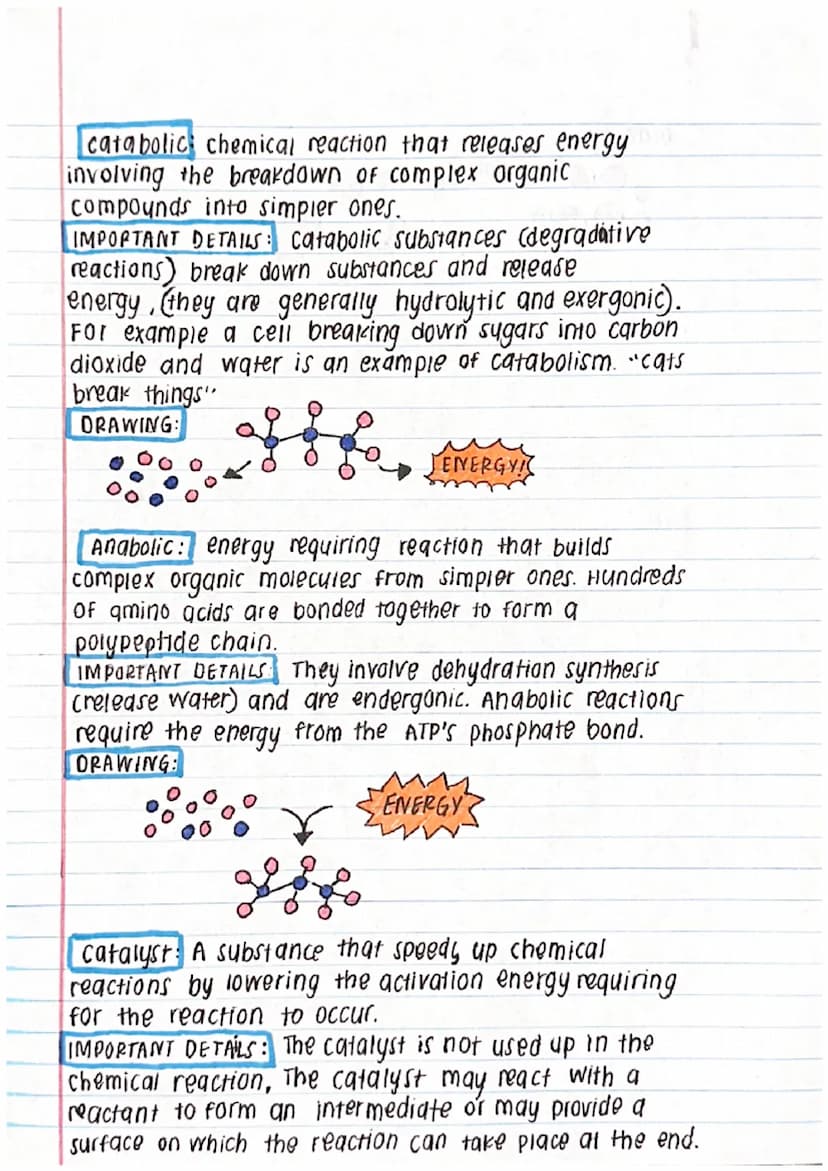 chapter 5 - Energy and Enzymes
Membrane Proteins: Proteins that require detergent
to extract them from a membrane and keep them soluble
in w