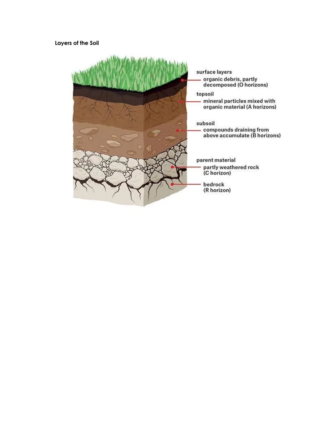 ROCKS AND MINERALS
I. Rocks - Solid materials formed by heat, pressure, or layering
Types of Rocks
Type
Igneous
Sedimentary
Metamorphic
Rock