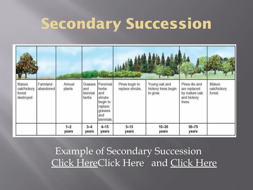 SUCCESSION
a series of changes in a community in which
new populations of organisms gradually
replace existing ones
Primary Succession
Secon