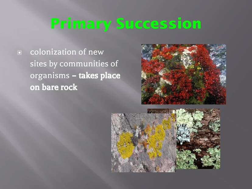 SUCCESSION
a series of changes in a community in which
new populations of organisms gradually
replace existing ones
Primary Succession
Secon
