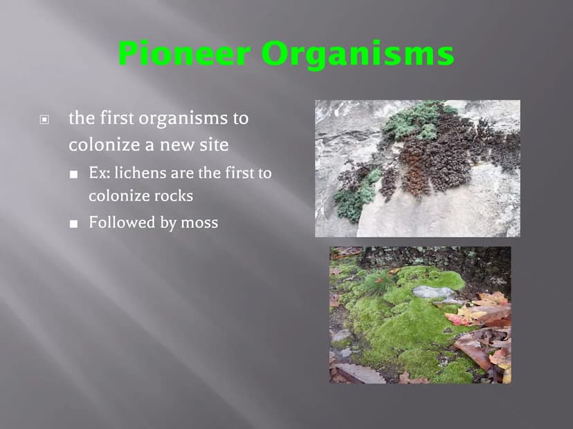 SUCCESSION
a series of changes in a community in which
new populations of organisms gradually
replace existing ones
Primary Succession
Secon