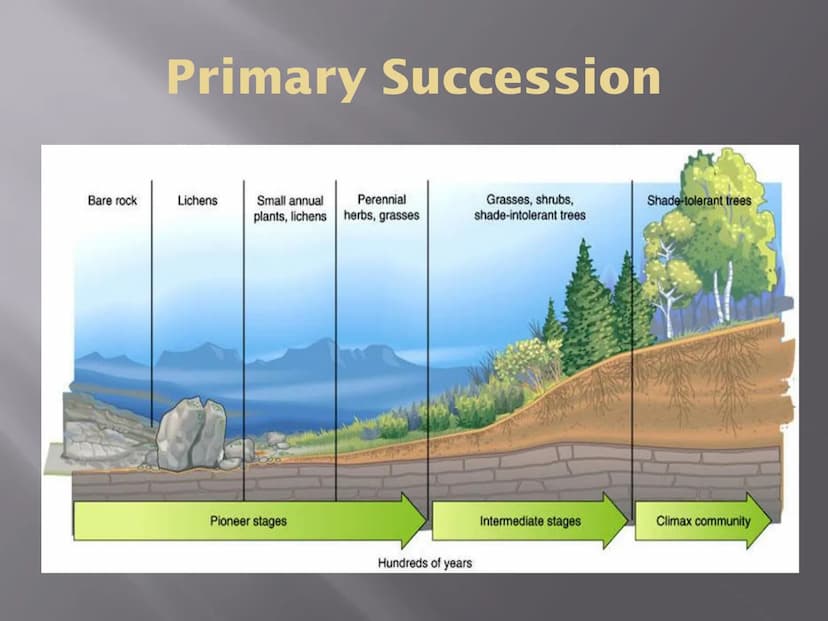 SUCCESSION
a series of changes in a community in which
new populations of organisms gradually
replace existing ones
Primary Succession
Secon