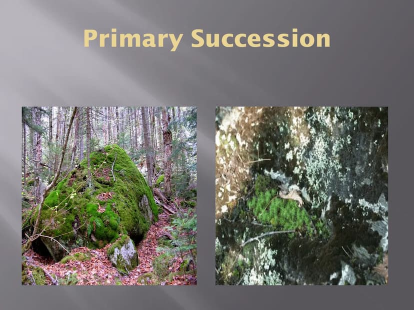 SUCCESSION
a series of changes in a community in which
new populations of organisms gradually
replace existing ones
Primary Succession
Secon