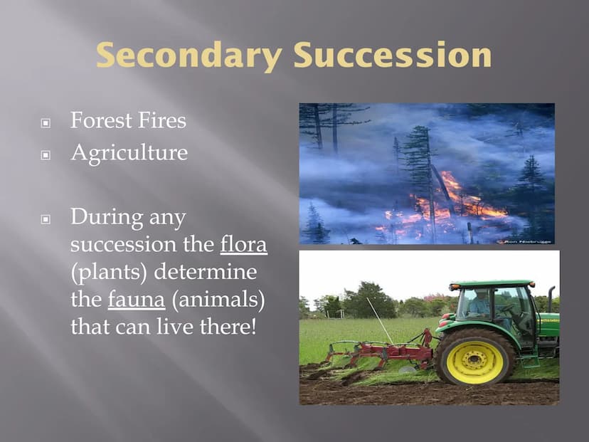 SUCCESSION
a series of changes in a community in which
new populations of organisms gradually
replace existing ones
Primary Succession
Secon