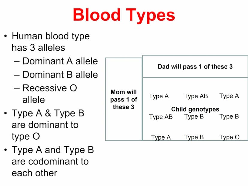Incomplete & Codominance
Red blood
cell type
Group A
A
Group B
B
Group AB
AB
Group O red
white
Codominance
Defined: when a single gene
has m