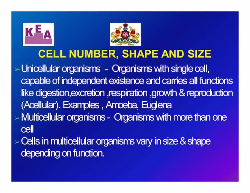 KEA
Chapter 3: CELL STRUCTURE & FUNCTION
க
Unit 1: CELL: THE UNIT OF LIFE
What is a cell?
Cell theory
➤An overview of a cell KE
A
WHAT IS A 