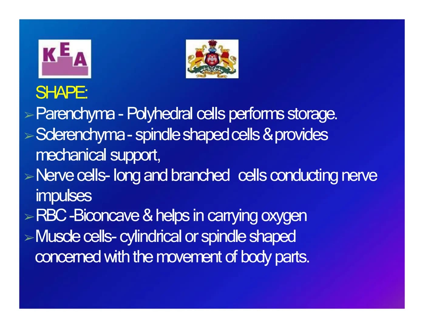 KEA
Chapter 3: CELL STRUCTURE & FUNCTION
க
Unit 1: CELL: THE UNIT OF LIFE
What is a cell?
Cell theory
➤An overview of a cell KE
A
WHAT IS A 