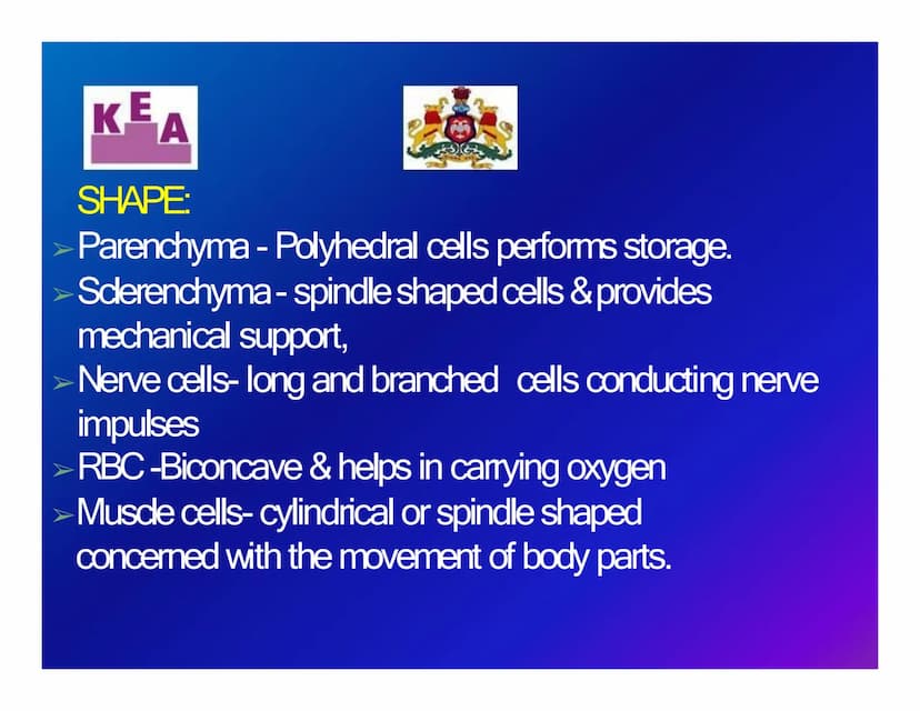 KEA
Chapter 3: CELL STRUCTURE & FUNCTION
க
Unit 1: CELL: THE UNIT OF LIFE
What is a cell?
Cell theory
➤An overview of a cell KE
A
WHAT IS A 