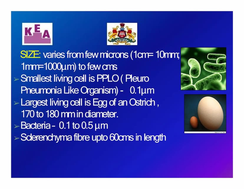 KEA
Chapter 3: CELL STRUCTURE & FUNCTION
க
Unit 1: CELL: THE UNIT OF LIFE
What is a cell?
Cell theory
➤An overview of a cell KE
A
WHAT IS A 