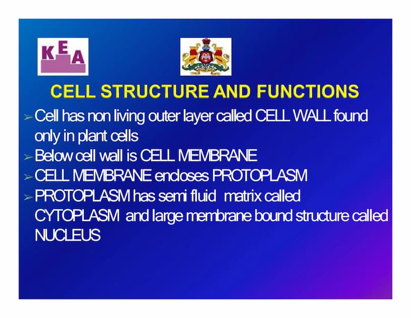 KEA
Chapter 3: CELL STRUCTURE & FUNCTION
க
Unit 1: CELL: THE UNIT OF LIFE
What is a cell?
Cell theory
➤An overview of a cell KE
A
WHAT IS A 