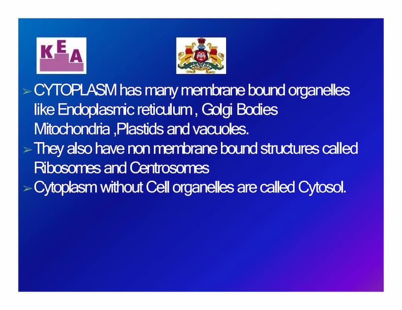 KEA
Chapter 3: CELL STRUCTURE & FUNCTION
க
Unit 1: CELL: THE UNIT OF LIFE
What is a cell?
Cell theory
➤An overview of a cell KE
A
WHAT IS A 