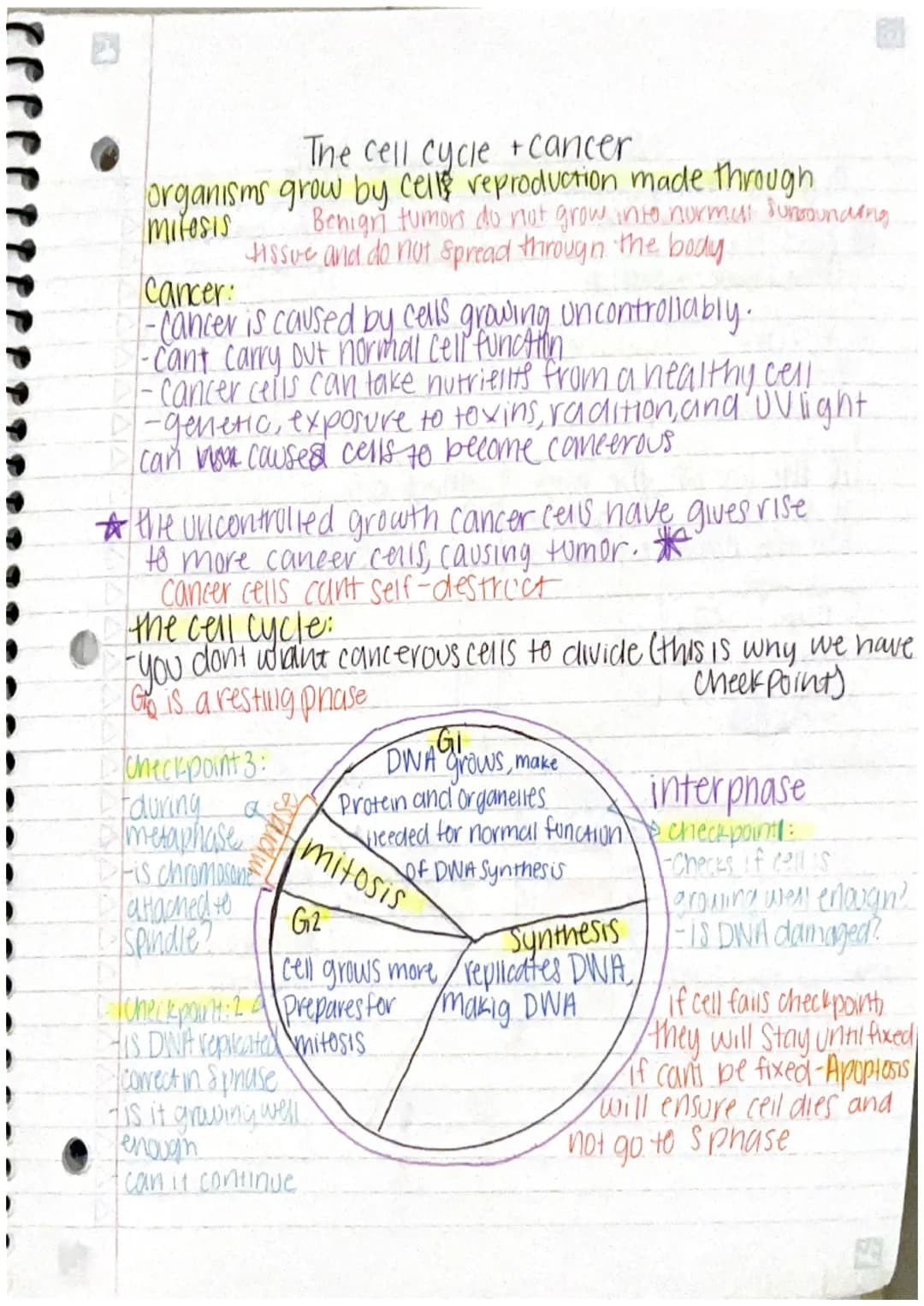 <p>The Cell Cycle and Cancer</p>
<p>The cell cycle is the process through which organisms grow by reproducing cells through mitosis. Benign 