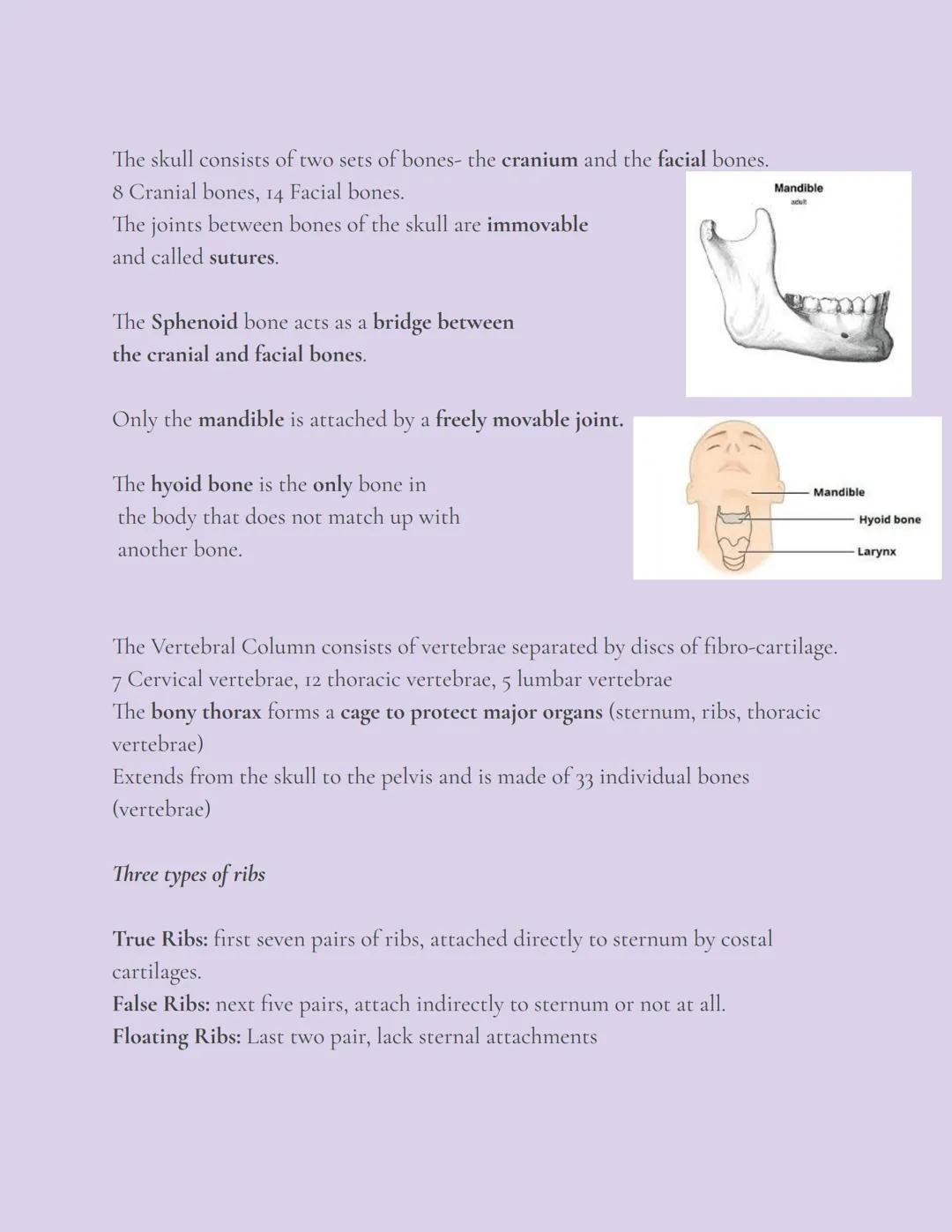 Skeletal System
OVERVIEW
The skeleton, composed of bones, cartilages, joints, and ligaments, accounts for
about 20% of body mass.
There are 