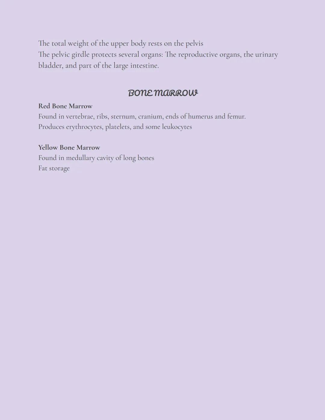 Skeletal System
OVERVIEW
The skeleton, composed of bones, cartilages, joints, and ligaments, accounts for
about 20% of body mass.
There are 