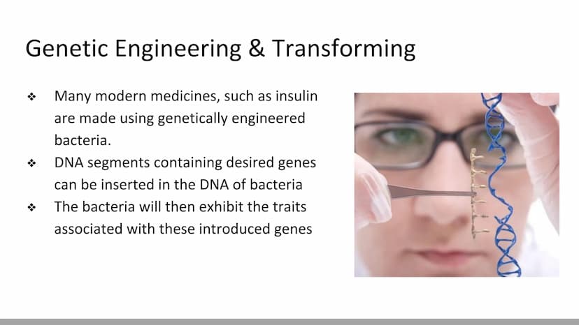 Mutations & DNA Technology
Biology X Mutations
H
Any change in a DNA sequence is called a mutation
They can be caused by
Errors during DNA r