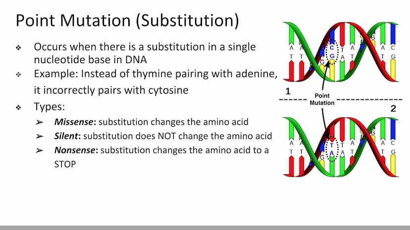 Mutations & DNA Technology
Biology X Mutations
H
Any change in a DNA sequence is called a mutation
They can be caused by
Errors during DNA r