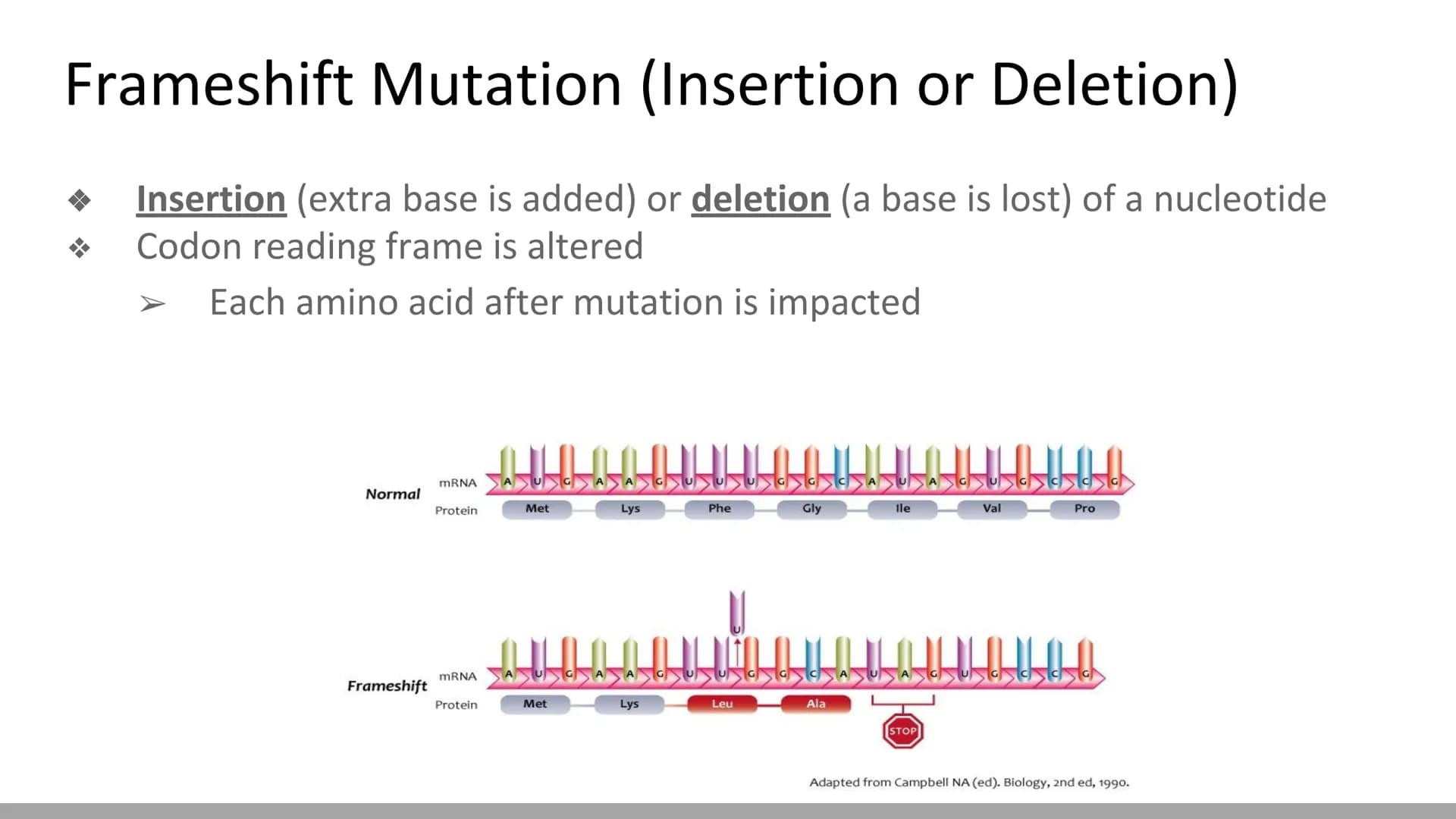 Mutations & DNA Technology
Biology X Mutations
H
Any change in a DNA sequence is called a mutation
They can be caused by
Errors during DNA r