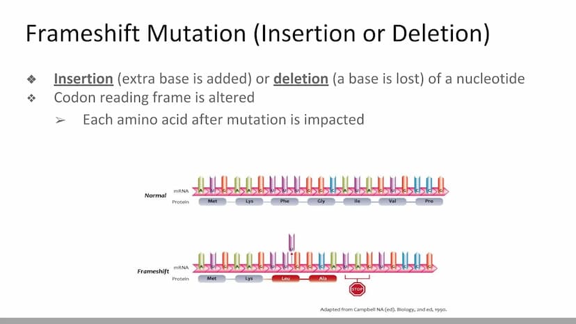 Mutations & DNA Technology
Biology X Mutations
H
Any change in a DNA sequence is called a mutation
They can be caused by
Errors during DNA r