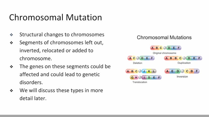 Mutations & DNA Technology
Biology X Mutations
H
Any change in a DNA sequence is called a mutation
They can be caused by
Errors during DNA r