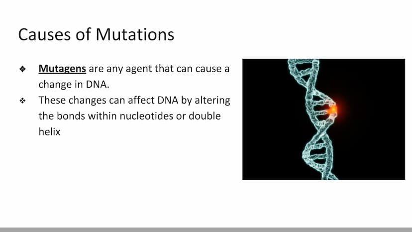 Mutations & DNA Technology
Biology X Mutations
H
Any change in a DNA sequence is called a mutation
They can be caused by
Errors during DNA r