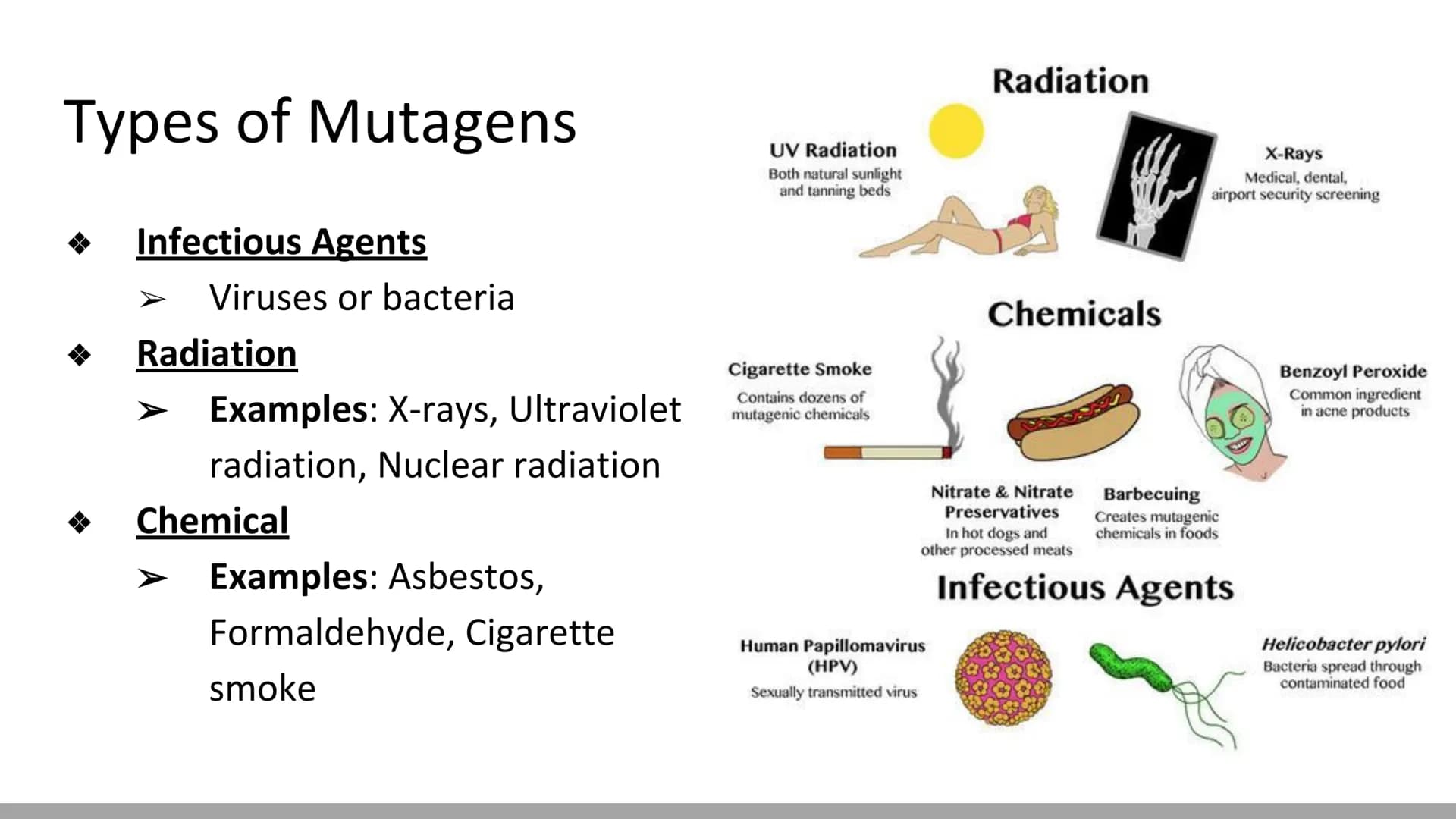 Mutations & DNA Technology
Biology X Mutations
H
Any change in a DNA sequence is called a mutation
They can be caused by
Errors during DNA r