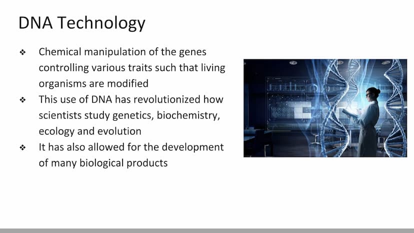 Mutations & DNA Technology
Biology X Mutations
H
Any change in a DNA sequence is called a mutation
They can be caused by
Errors during DNA r