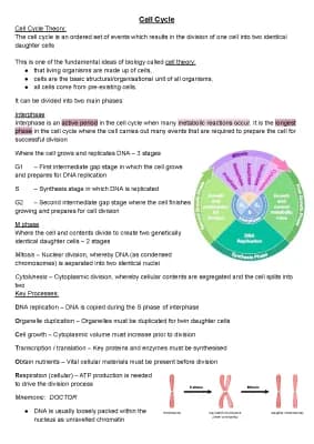 Know Cell Cycle thumbnail