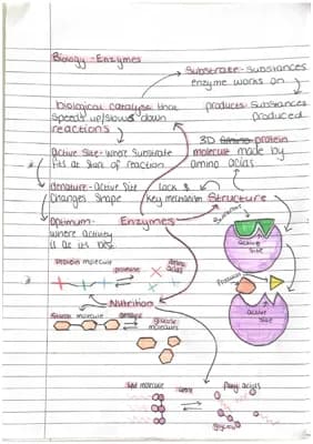 Know Edexcel Combined Science Biology Paper 1 thumbnail