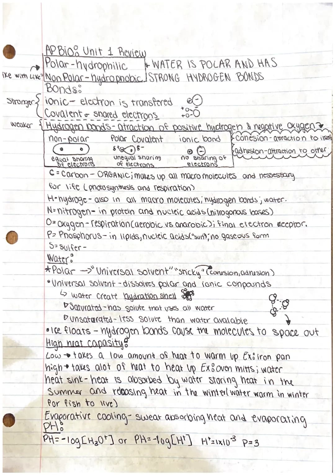 Ap bio: chemistry of life~unit 1 review 