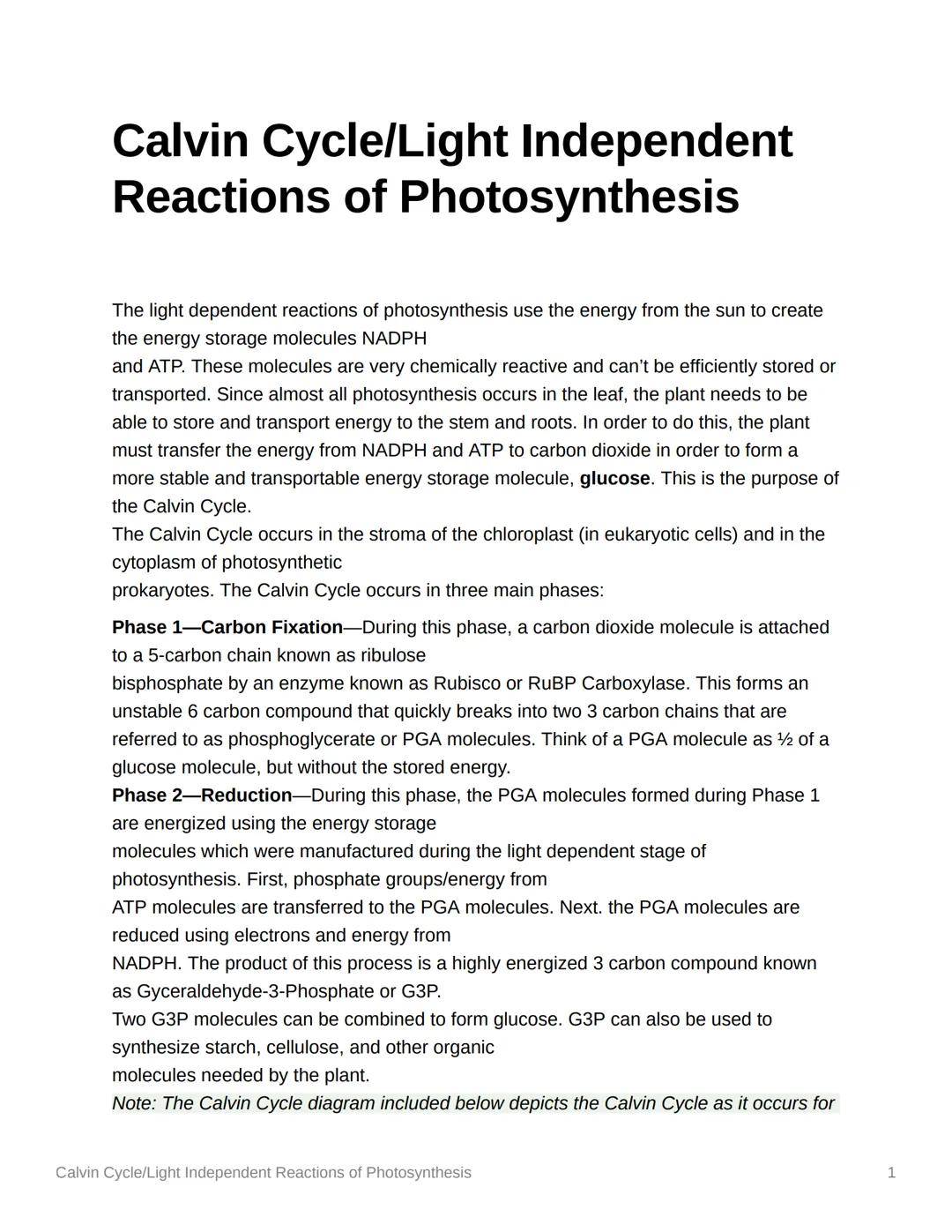 Calvin Cycle/Light Independent
Reactions of Photosynthesis
The light dependent reactions of photosynthesis use the energy from the sun to cr
