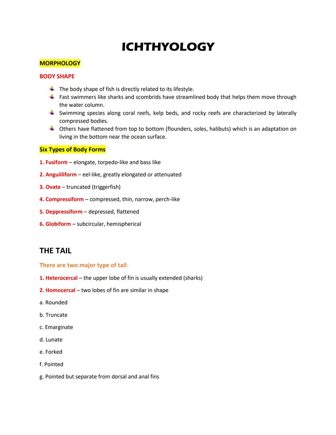 MORPHOLOGY
BODY SHAPE
The body shape of fish is directly related to its lifestyle.
+Fast swimmers like sharks and scombrids have streamlined