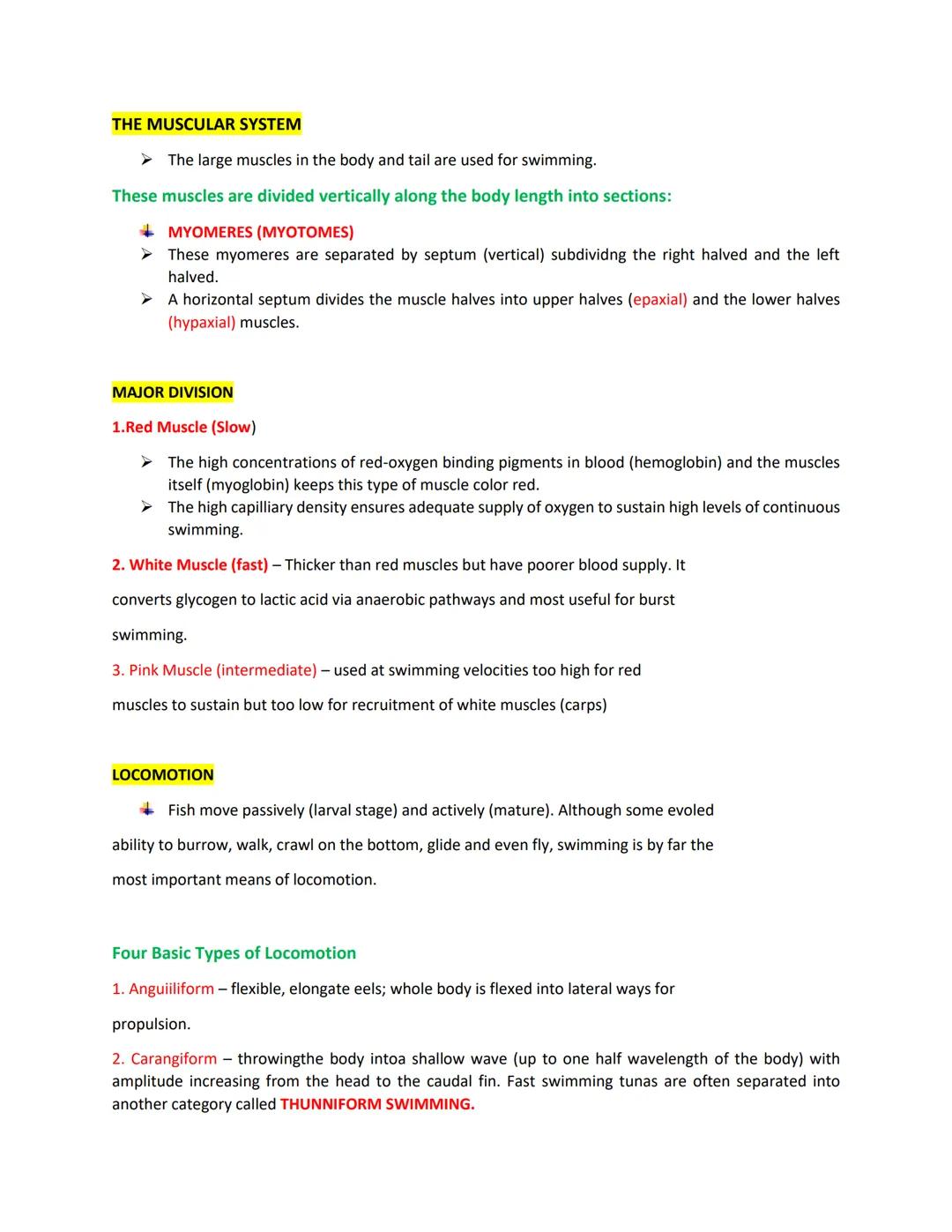 MORPHOLOGY
BODY SHAPE
The body shape of fish is directly related to its lifestyle.
+Fast swimmers like sharks and scombrids have streamlined
