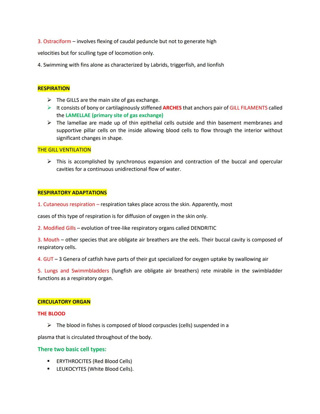 MORPHOLOGY
BODY SHAPE
The body shape of fish is directly related to its lifestyle.
+Fast swimmers like sharks and scombrids have streamlined