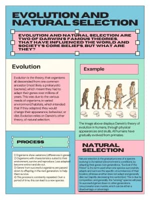 Know Evolution and Natural Selection Detailed Notes thumbnail