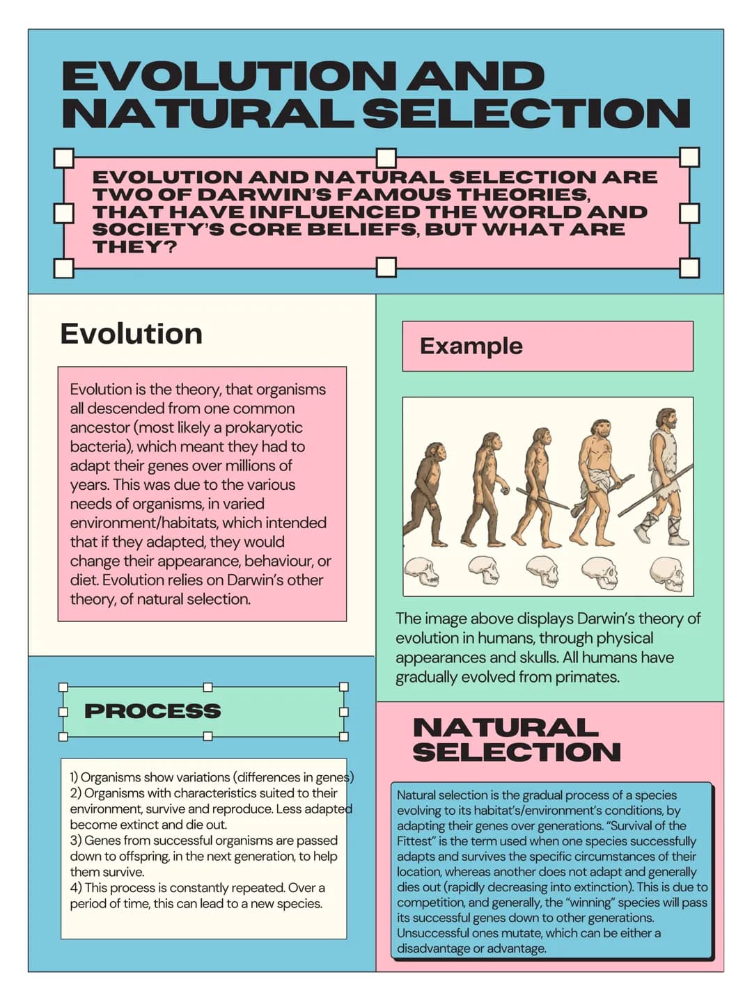 EVOLUTION AND
NATURAL SELECTION
EVOLUTION AND NATURAL SELECTION ARE
TWO OF DARWIN'S FAMOUS THEORIES,
THAT HAVE INFLUENCED THE WORLD AND
SOCI