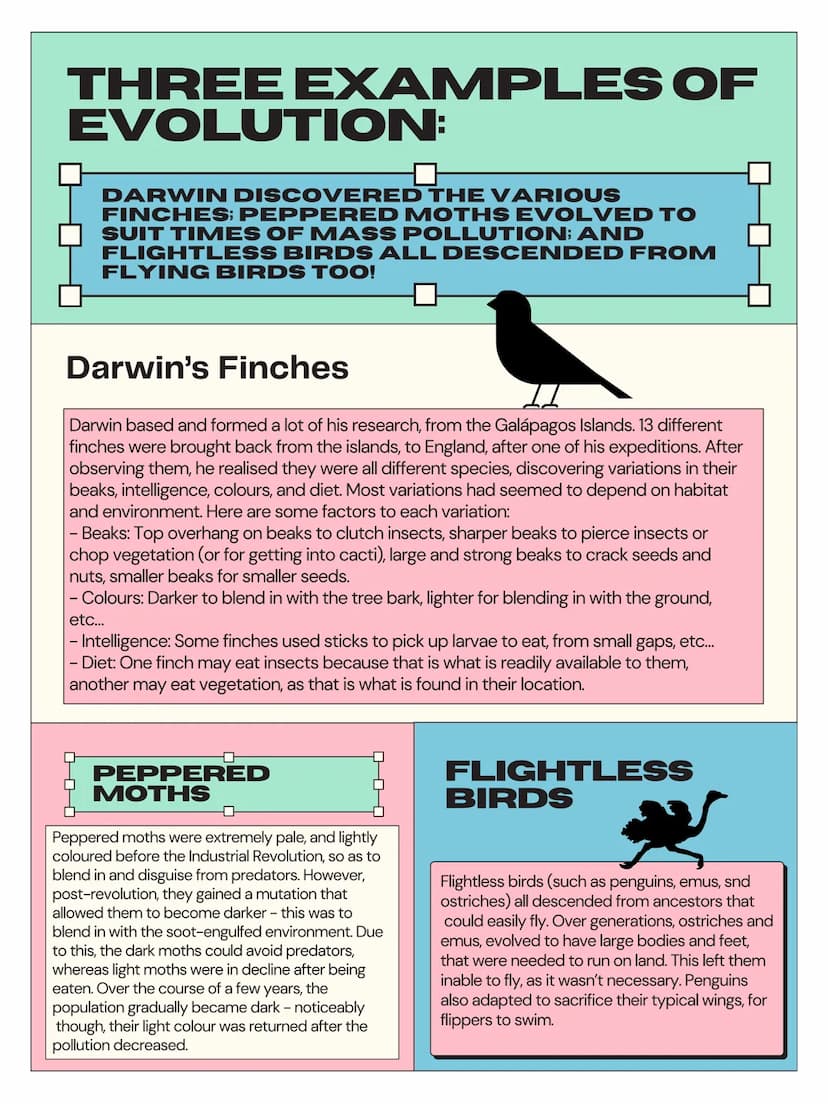 EVOLUTION AND
NATURAL SELECTION
EVOLUTION AND NATURAL SELECTION ARE
TWO OF DARWIN'S FAMOUS THEORIES,
THAT HAVE INFLUENCED THE WORLD AND
SOCI