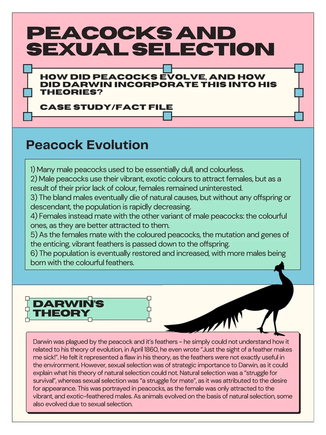 EVOLUTION AND
NATURAL SELECTION
EVOLUTION AND NATURAL SELECTION ARE
TWO OF DARWIN'S FAMOUS THEORIES,
THAT HAVE INFLUENCED THE WORLD AND
SOCI