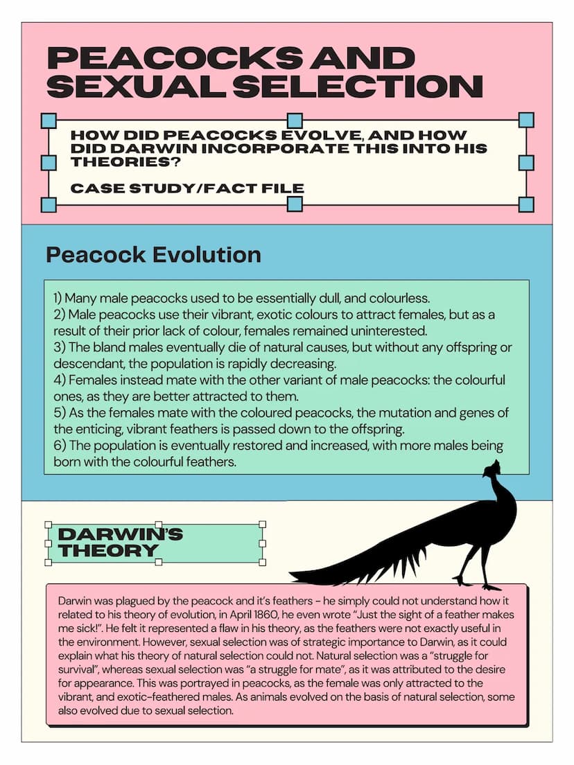 EVOLUTION AND
NATURAL SELECTION
EVOLUTION AND NATURAL SELECTION ARE
TWO OF DARWIN'S FAMOUS THEORIES,
THAT HAVE INFLUENCED THE WORLD AND
SOCI