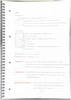 Know biology paper one notes  thumbnail