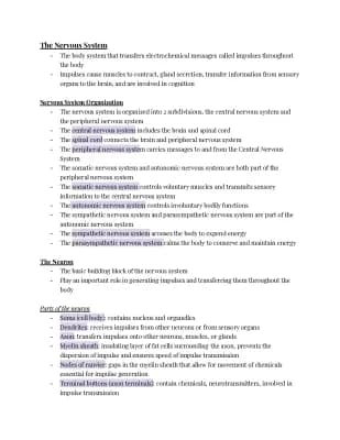 Know Unit 2: The Nervous System Study Guide  thumbnail