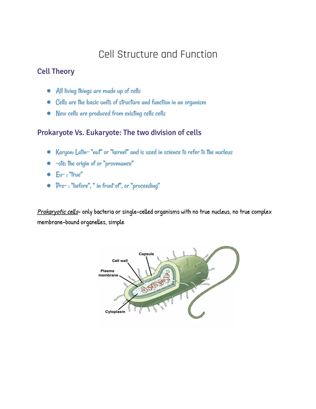 Cell Theory
Cell Structure and Function
• All living things are made up of cells
• Cells are the basic units of structure and function in an