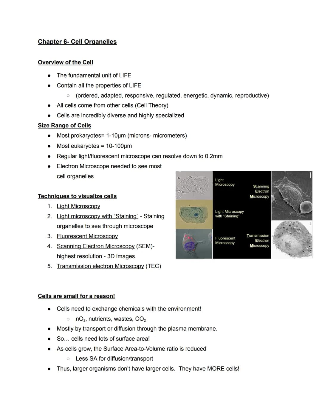 Chapter 6- Cell Organelles
Overview of the Cell
●
●
The fundamental unit of LIFE
Contain all the properties of LIFE
O (ordered, adapted, res
