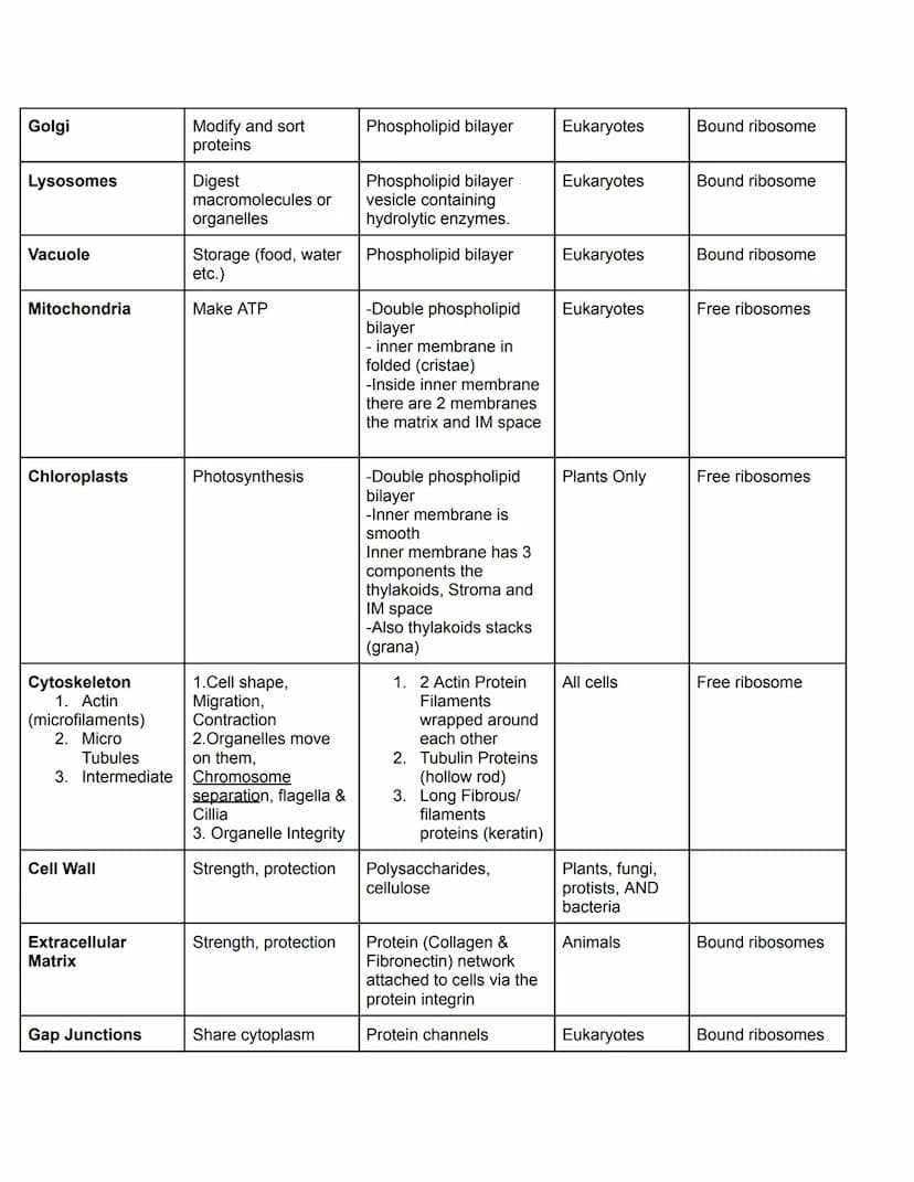 Chapter 6- Cell Organelles
Overview of the Cell
●
●
The fundamental unit of LIFE
Contain all the properties of LIFE
O (ordered, adapted, res