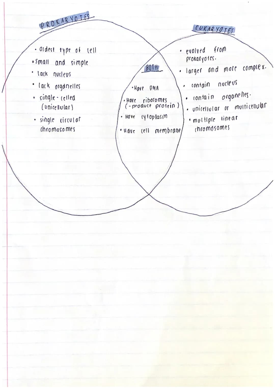 Prokaryotic (no nucleus)
•They are the simplest and
most ancient cells.
•
2 types of
celes
• They are much smaller.
• Simpler structure
"bef