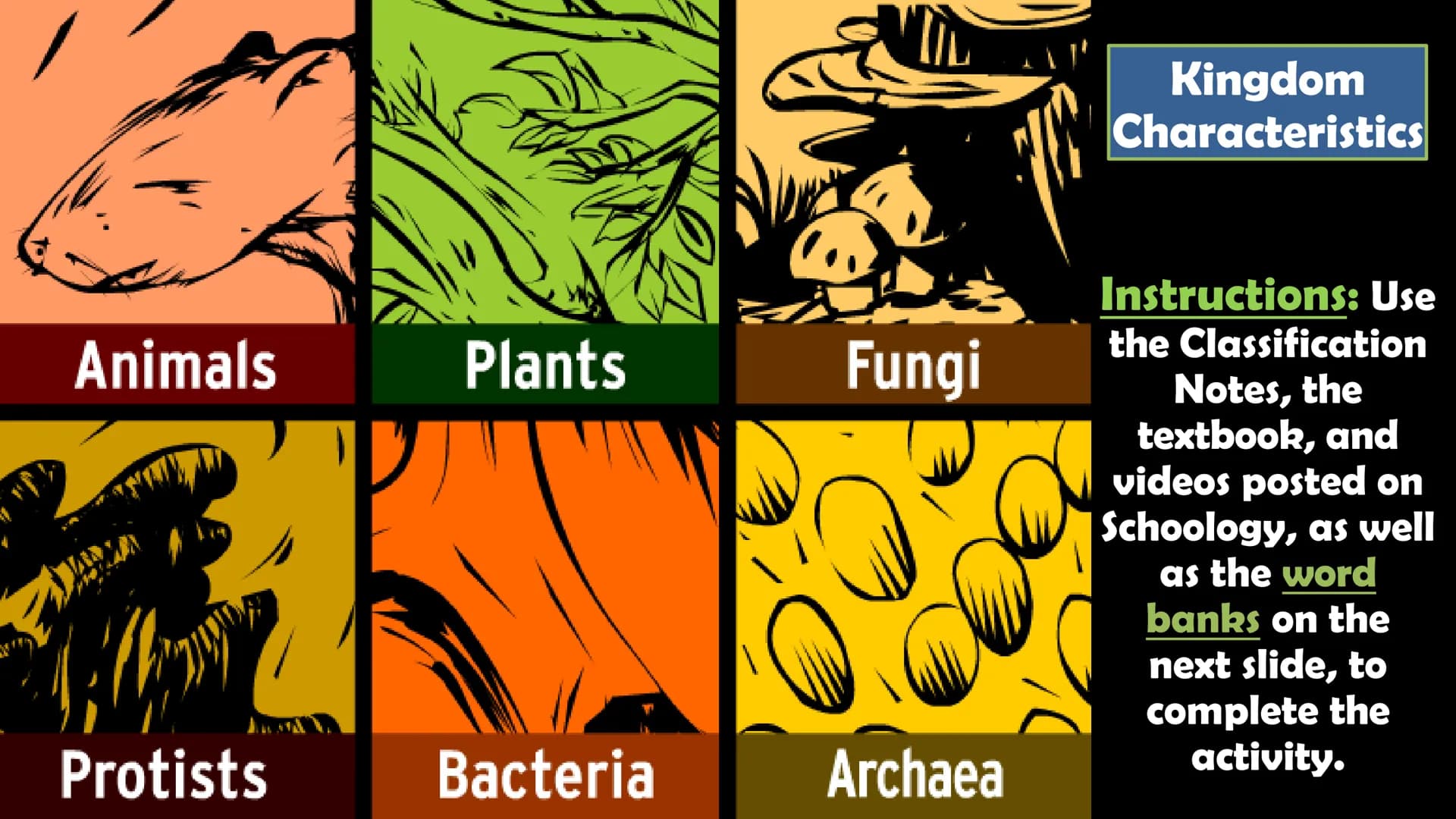 Animals
10
Protists
Plants
Bacteria
Fungi
Archaea
Kingdom
Characteristics
Instructions: Use
the Classification
Notes, the
textbook, and
vide