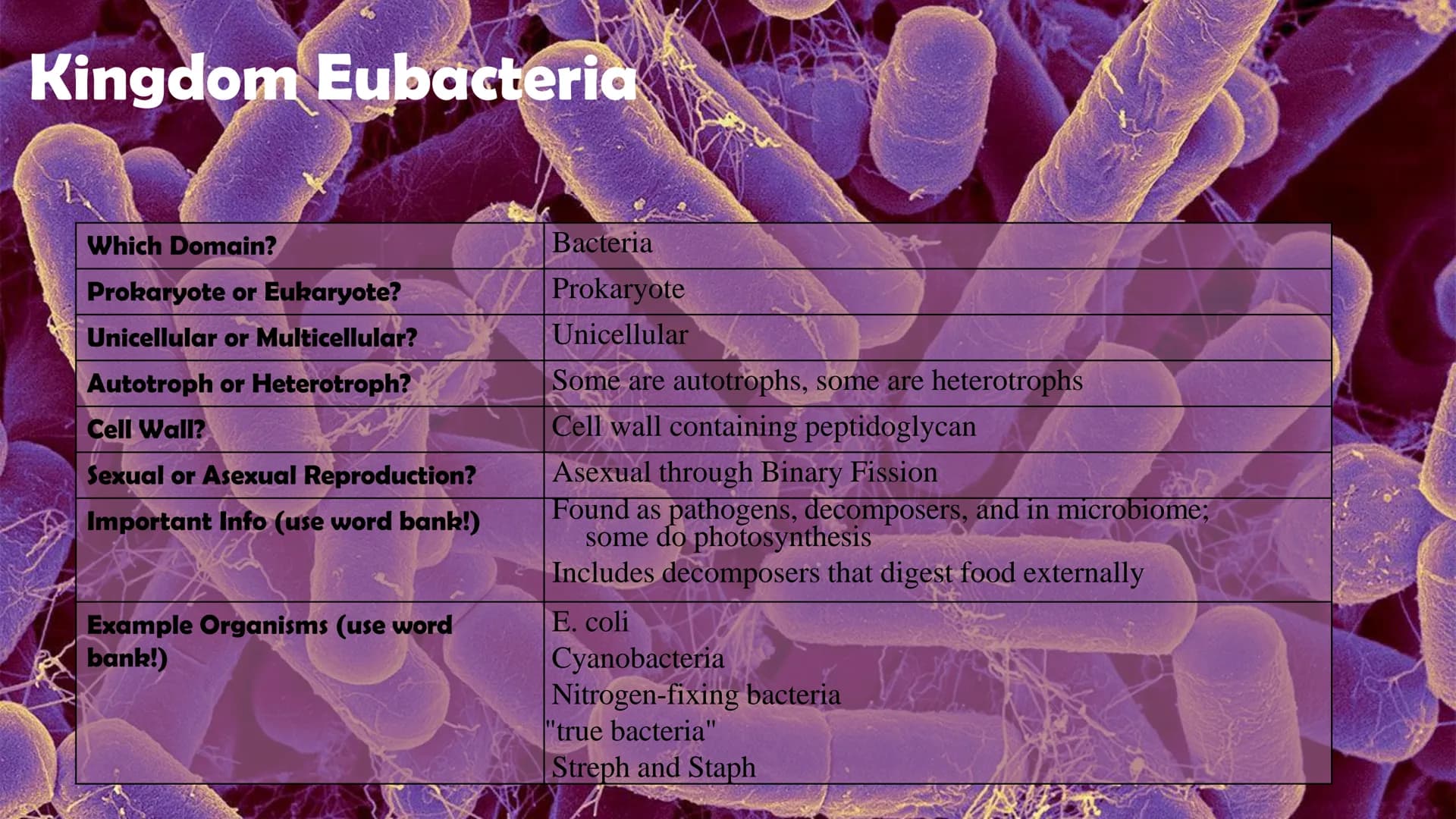 Animals
10
Protists
Plants
Bacteria
Fungi
Archaea
Kingdom
Characteristics
Instructions: Use
the Classification
Notes, the
textbook, and
vide