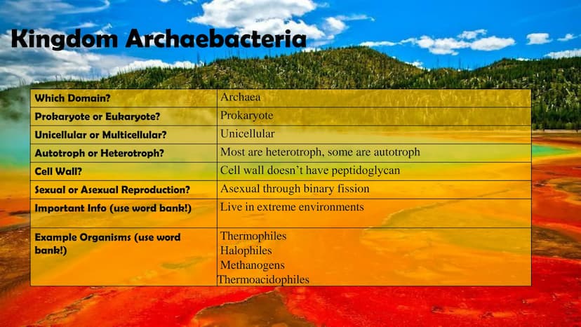 Animals
10
Protists
Plants
Bacteria
Fungi
Archaea
Kingdom
Characteristics
Instructions: Use
the Classification
Notes, the
textbook, and
vide