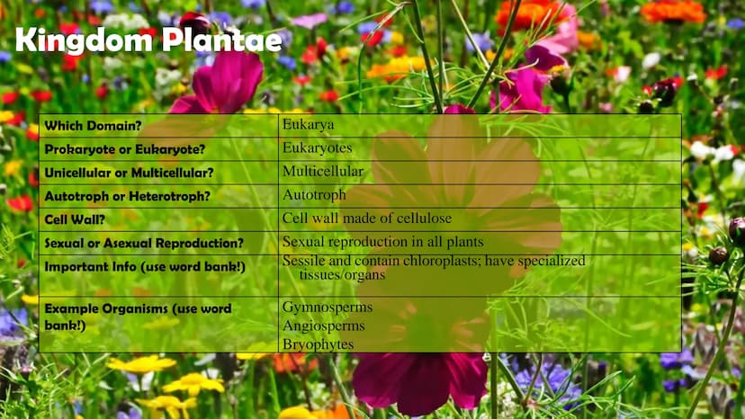 Animals
10
Protists
Plants
Bacteria
Fungi
Archaea
Kingdom
Characteristics
Instructions: Use
the Classification
Notes, the
textbook, and
vide
